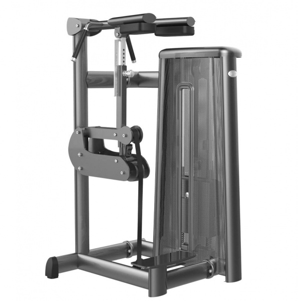 Голень стоя Gym80 G-3018